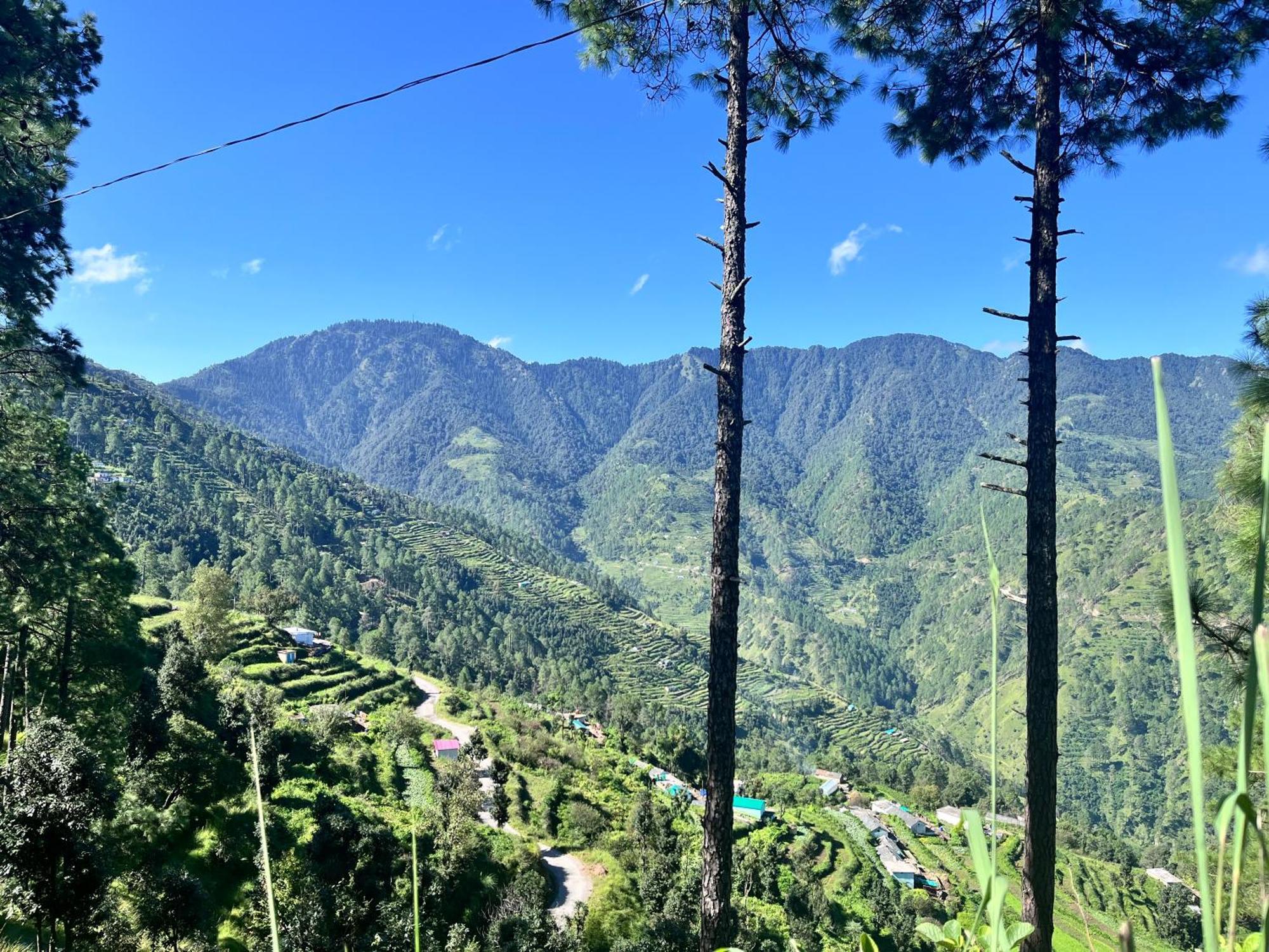 Himalayan Hill Top Resort Kanatal Exterior photo